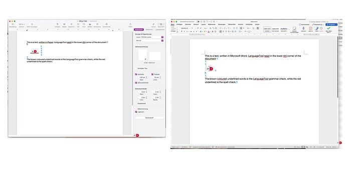 Languagetool and Pages and MS Word