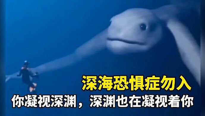 cba262acc8014b7f9d9a933485698cc3~tplv-pk90l89vgd-crop-center