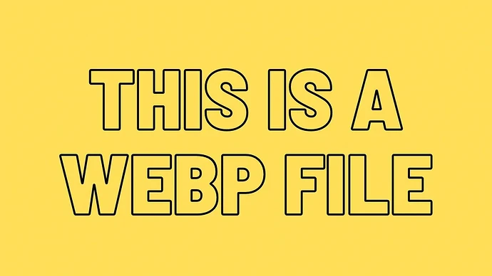 what-is-a-webp-file