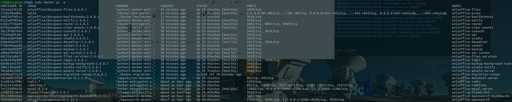 Need help setting up DOCSERVICE integration - DocSpace - ONLYOFFICE
