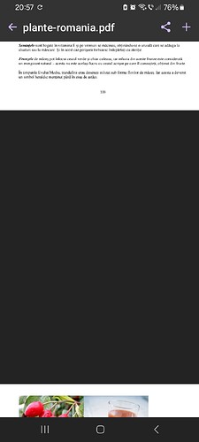 One_Empty_Page_within_Some_pages_within_a_document_not_showing_up_ONLYOFFICE1
